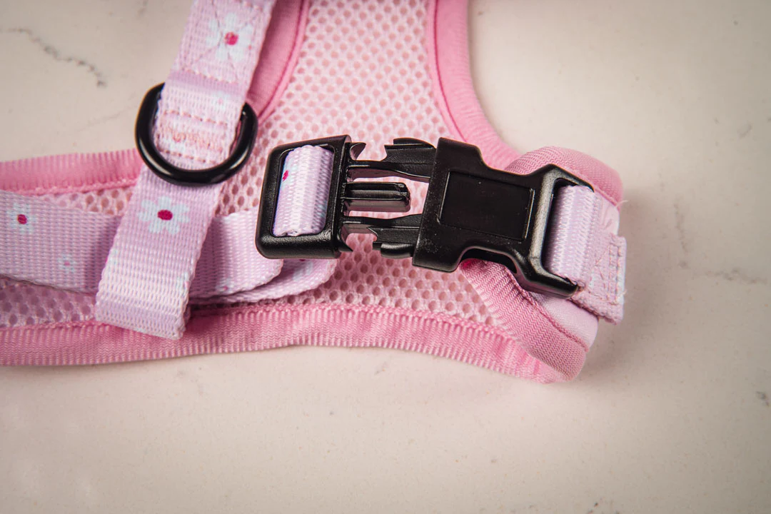 Daisy MaxComfort Dog Harness - Image 3