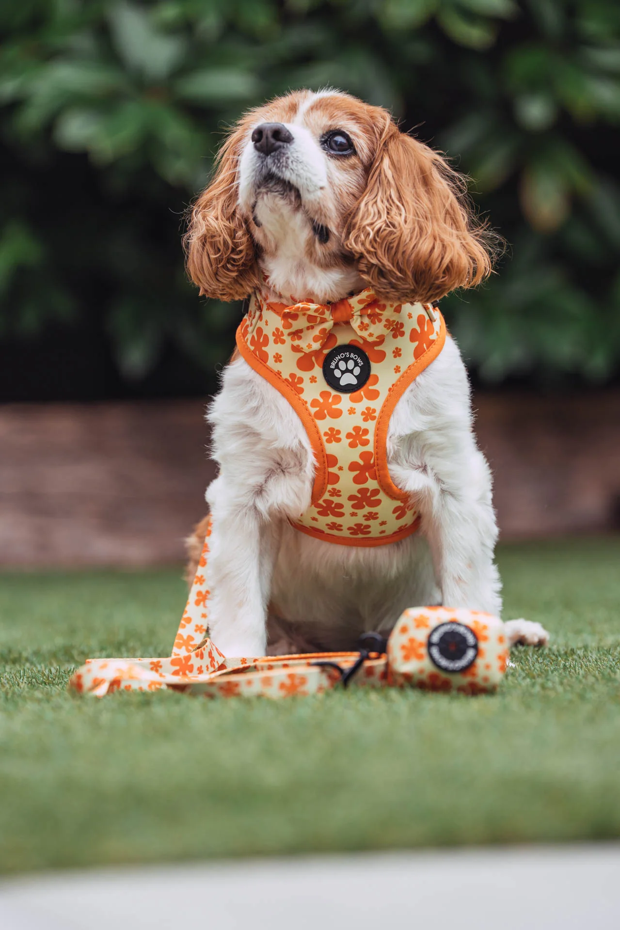 Fleur MaxComfort Dog Harness - Image 3