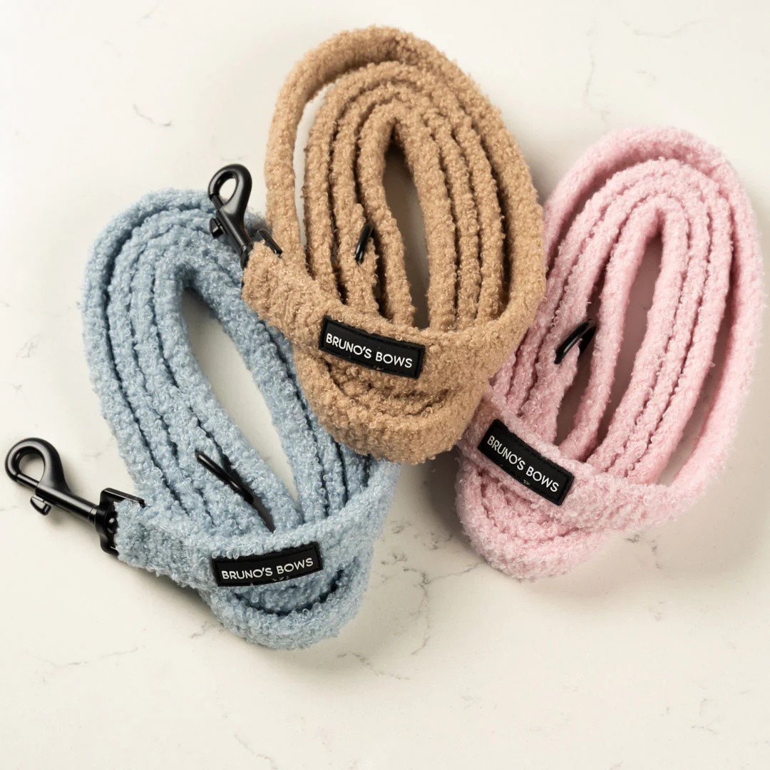 Teddy Blue Lead - Image 3