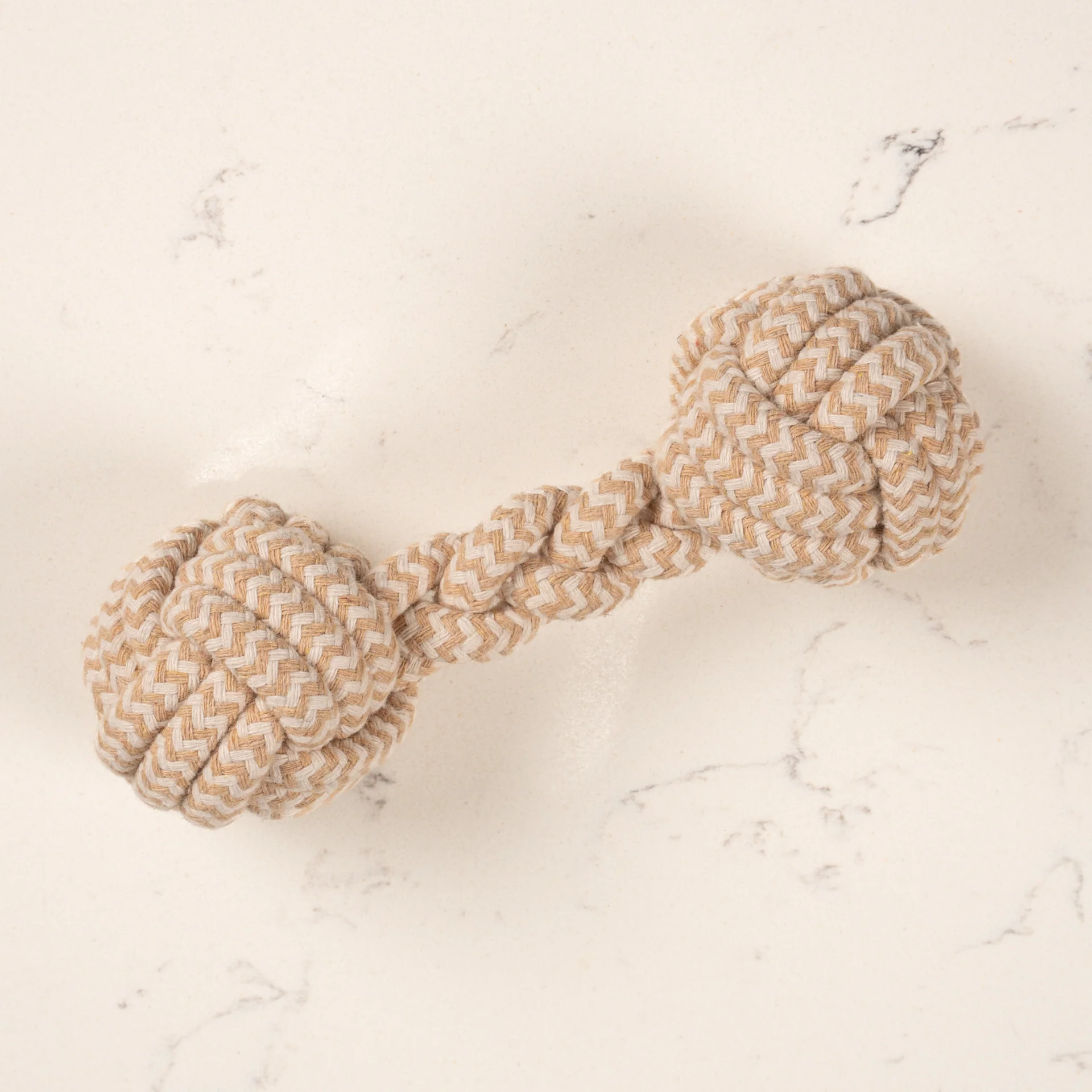 The Forager Interactive Toy - Image 3