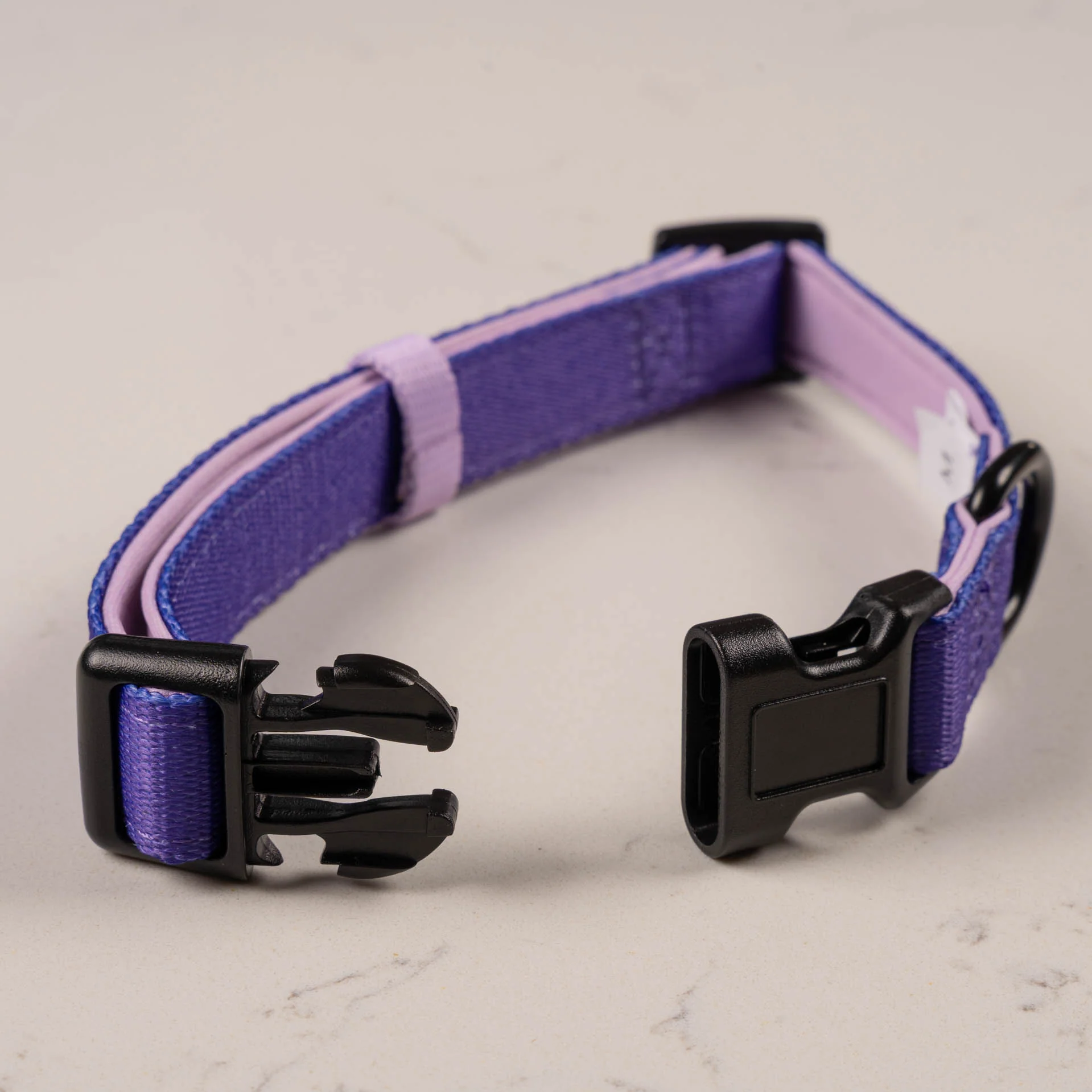 Violet Collar - Image 3